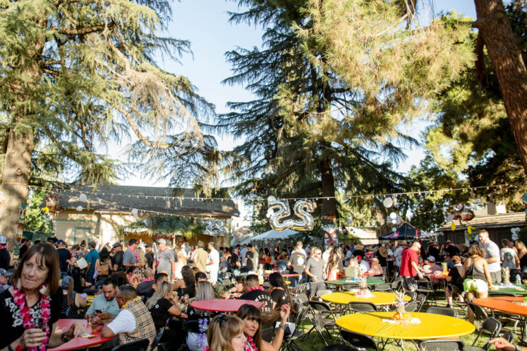 2019 Bakersfield Village Fest, Beer, Bands, Wine & Food